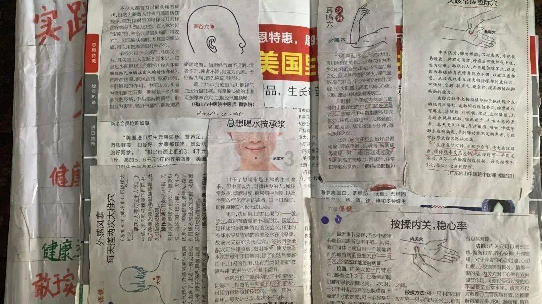 王鸥大胆挑战波斯猫风格,造型让人眼前一亮
