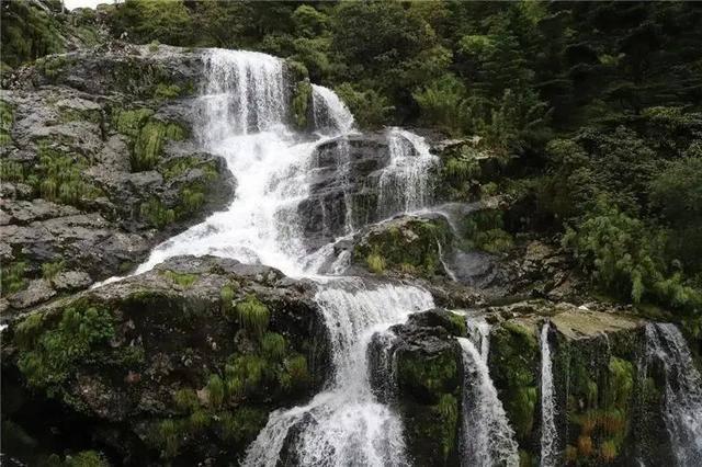 逃离太古森林